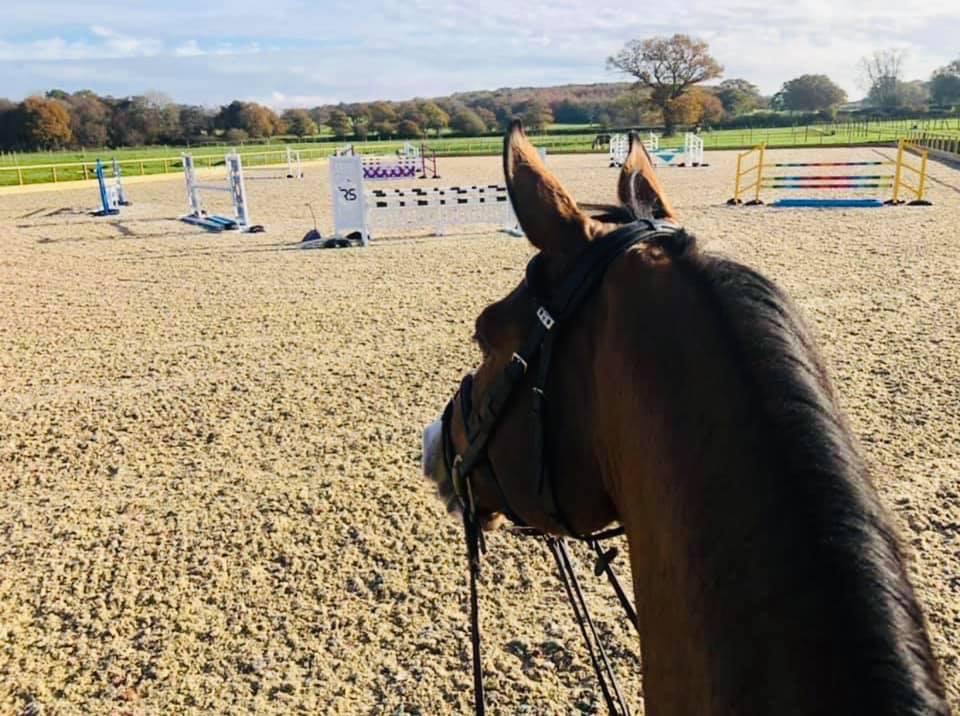 Rowebuck Stud Isfield Riding School and Stables opening times and